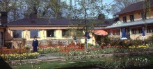 Vintage Garden